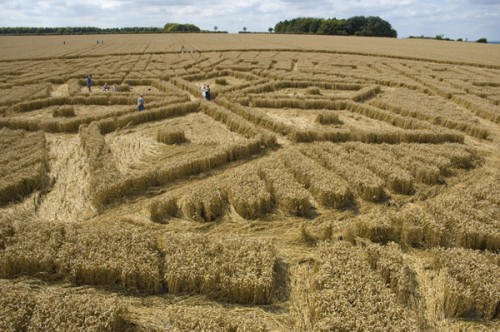 dentro Woolstone-Hill-Oxfordshire-13-08-05-Wheat-P3.jpg