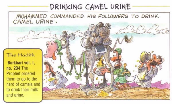 Camel-urine-islam-muhammad.jpg