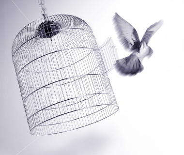 ornamental-bird-cage.jpg