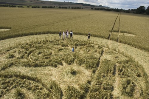 dentro Marden-A-Wiltshire-09-08-05-Wheat-P4.jpg