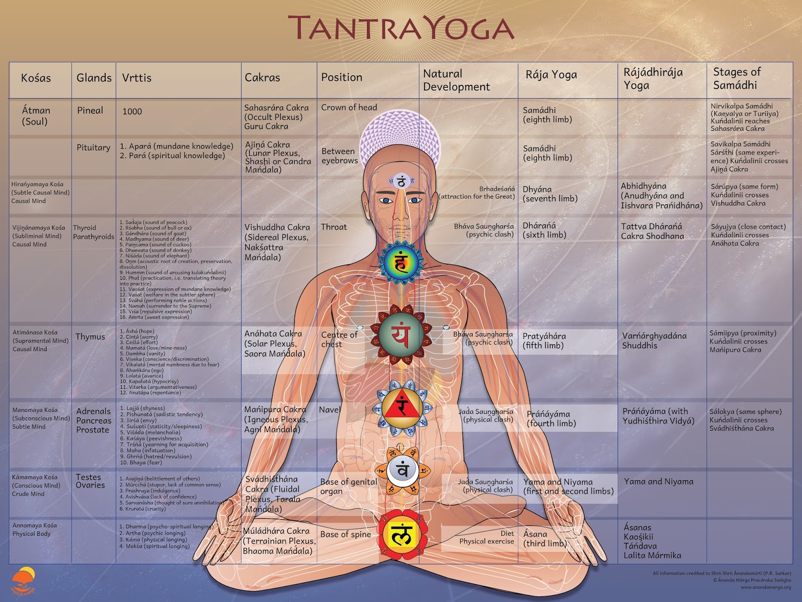 6 Tantra Yoga Kosas - AM 02