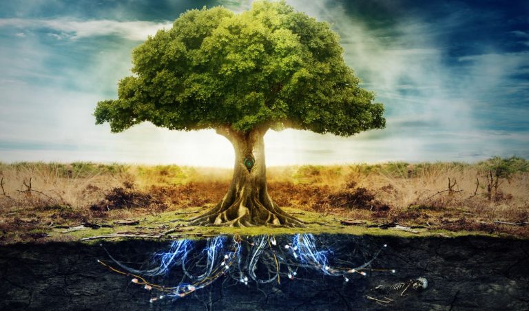 About-The-Tree-of-Life